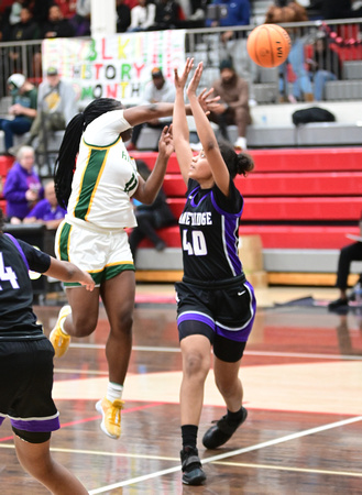 0217-024_Girls_All_District_11-4A_Championship42280