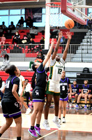 0217-024_Girls_All_District_11-4A_Championship42283