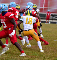 HHS_FB_75 - GHS_6_10.06.20 39664